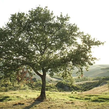 Le Capanne Volterra